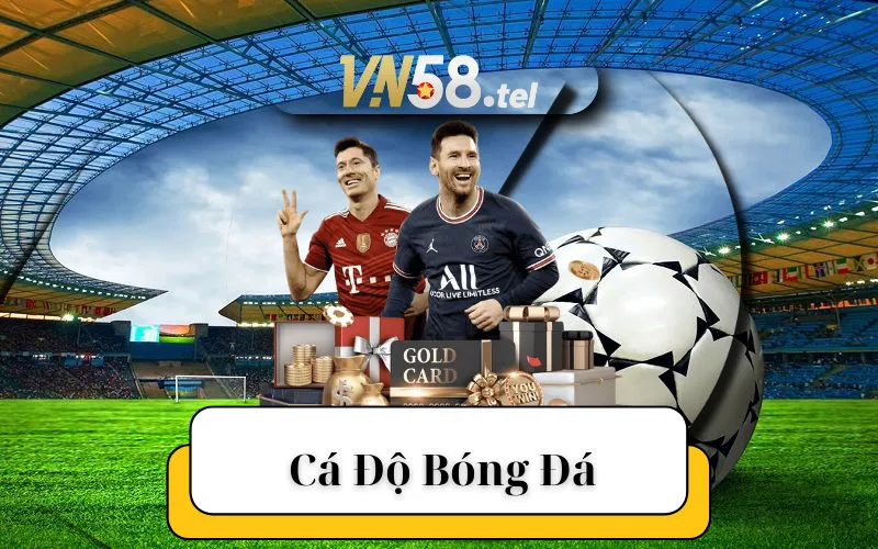 Đặt Cược Cá Độ Bóng Đá An Toàn Tại Thể Thao VN58.