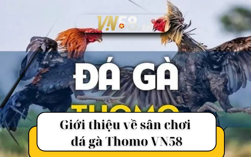 Giới thiệu về sân chơi đá gà Thomo VN58.